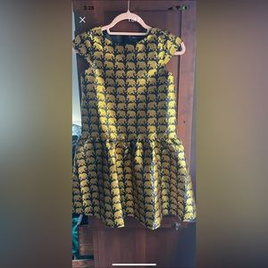 Crewcuts elephant dress sz 10